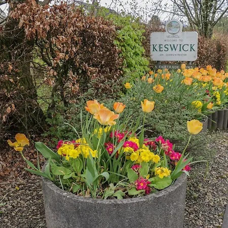 Woof Luxury Family Pod *