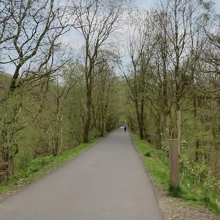 Woof Luxury Family Pod