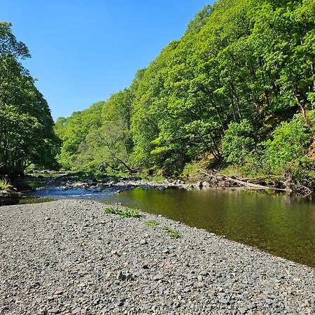 Woof Luxury Family Pod Дом отдыха