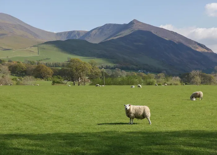 Woof Luxury Family Pod * 凯西克