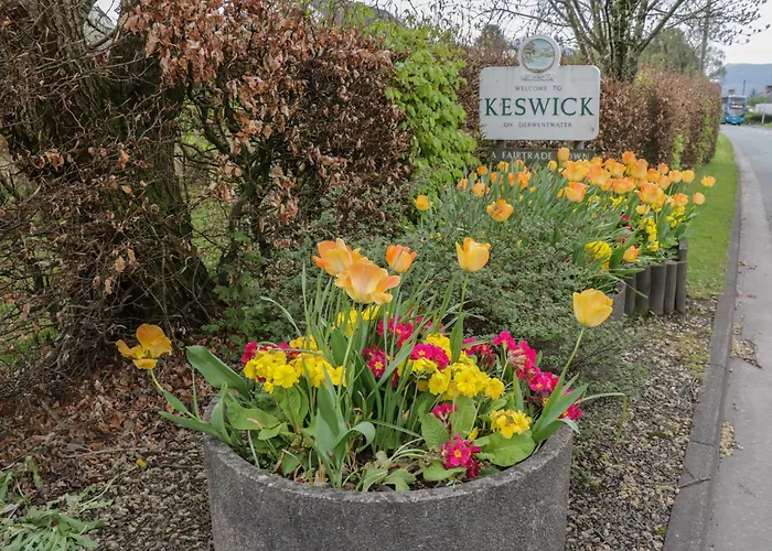 Woof Luxury Family Pod *