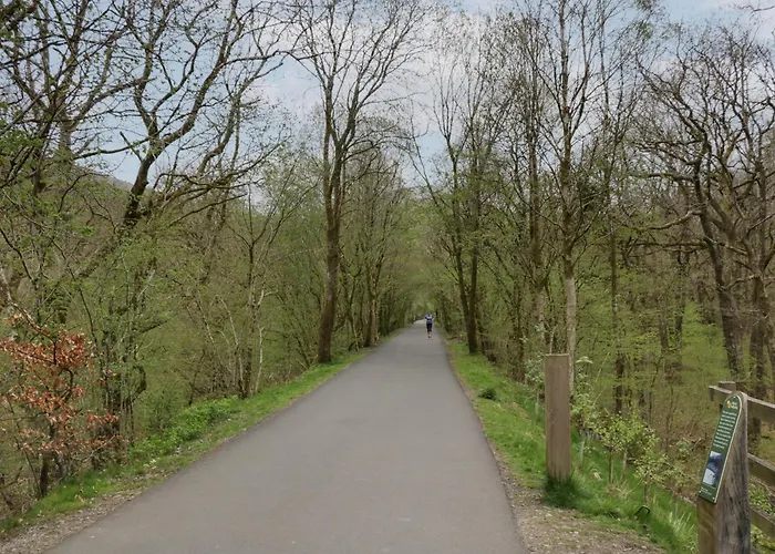 Woof Luxury Family Pod