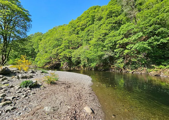 Woof Luxury Family Pod 凯西克