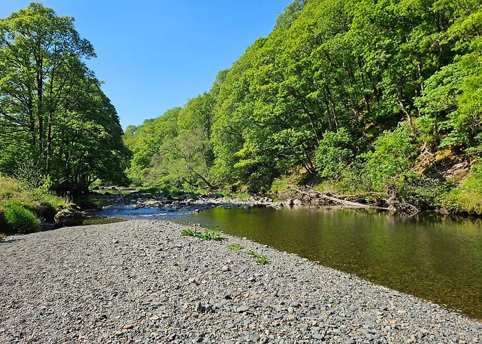 Woof Luxury Family Pod 度假居