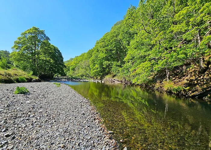 Woof Luxury Family Pod 度假居 *