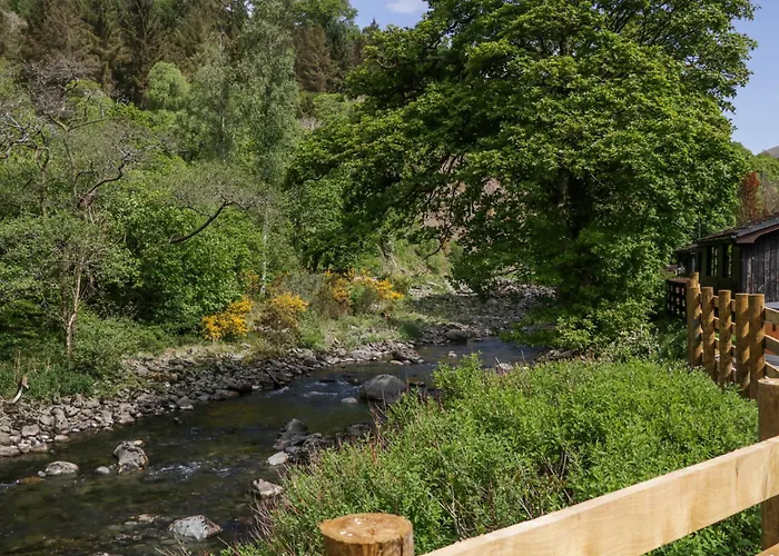 Woof Luxury Family Pod