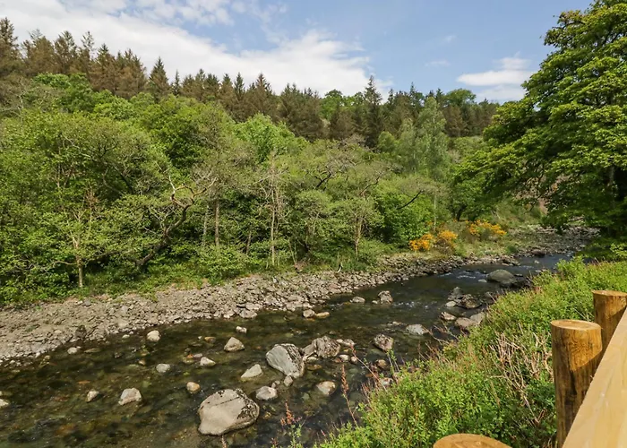 Woof Luxury Family Pod 度假居 *