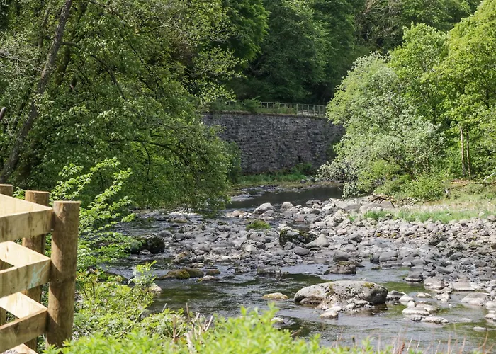 Woof Luxury Family Pod *