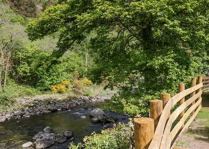 Woof Luxury Family Pod * 凯西克