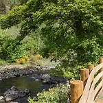Woof Luxury Family Pod * Keswick